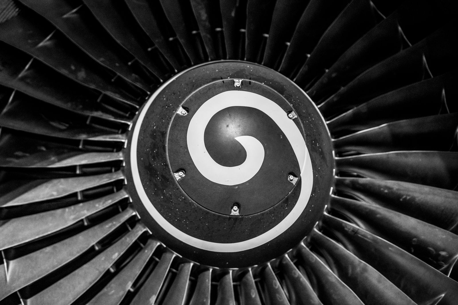 Detailed view of an aircraft engine fan.